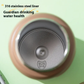 SPORTS INSULATED VACUUM FLASK (stainless steel)800ml